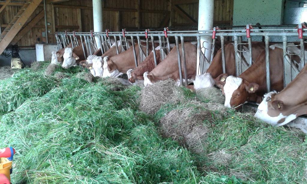 Ferienhof Grubinger Unterach am Attersee Exterior foto